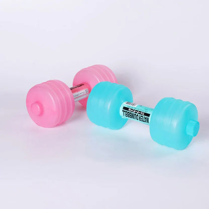 1kg Comprehensive Home Water Dumbbells