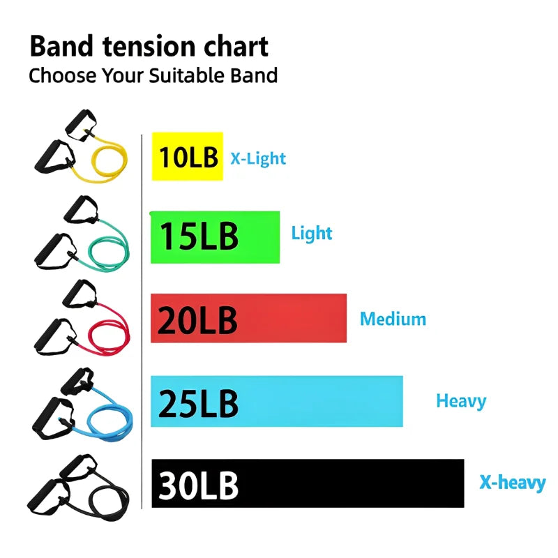 Bandas de resistencia con asas para ejercicios de entrenamiento para hombres y mujeres, equipo de entrenamiento de fuerza para el hogar, cuerda de tracción con banda de tubo de 5 niveles